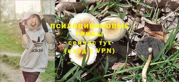 экстази Переславль-Залесский