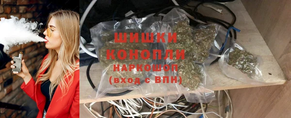 круглые Осинники
