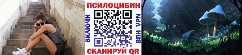 Галлюциногенные грибы прущие грибы  закладка  Сортавала 